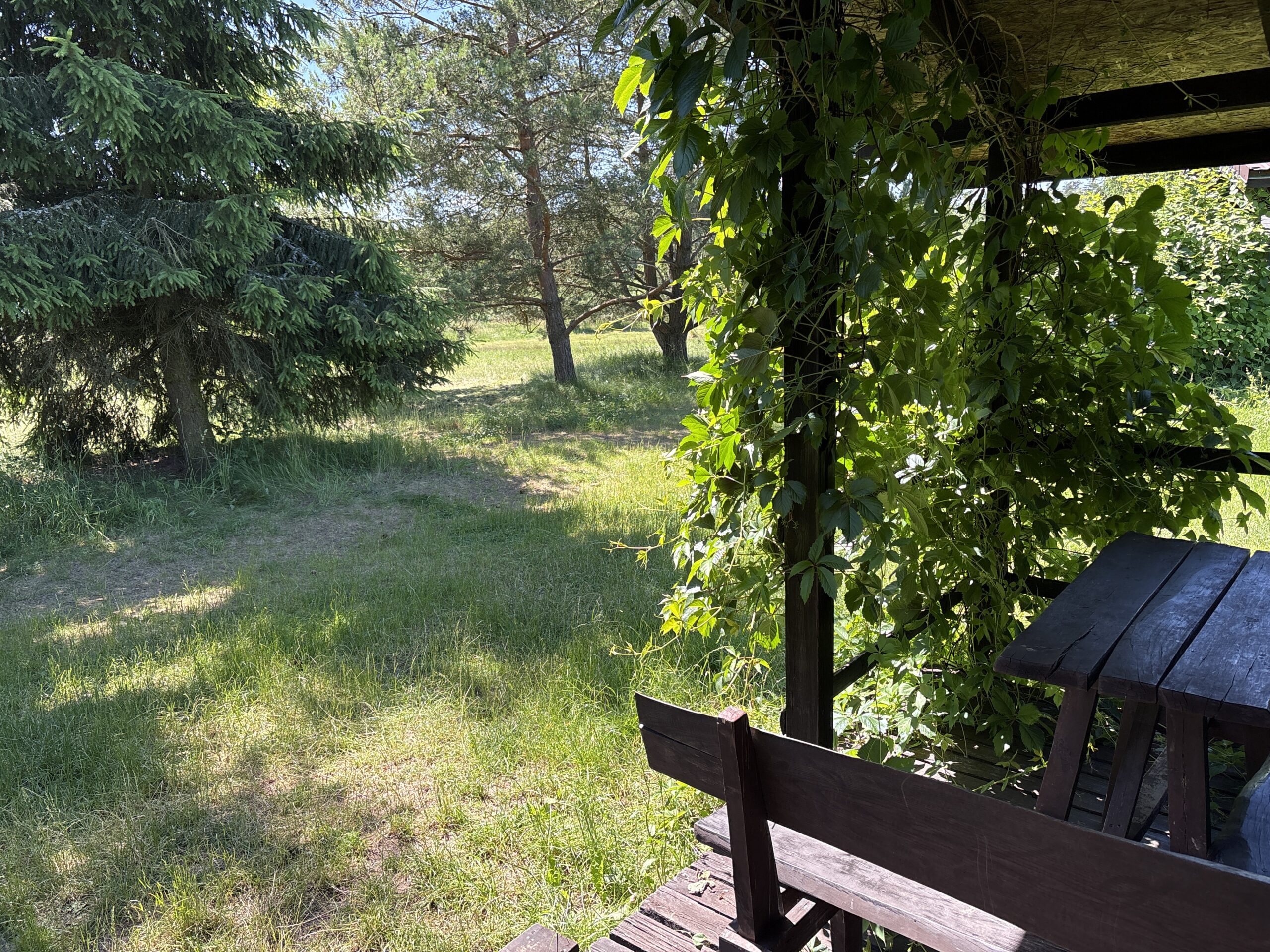 DJI_20260625_121351_630